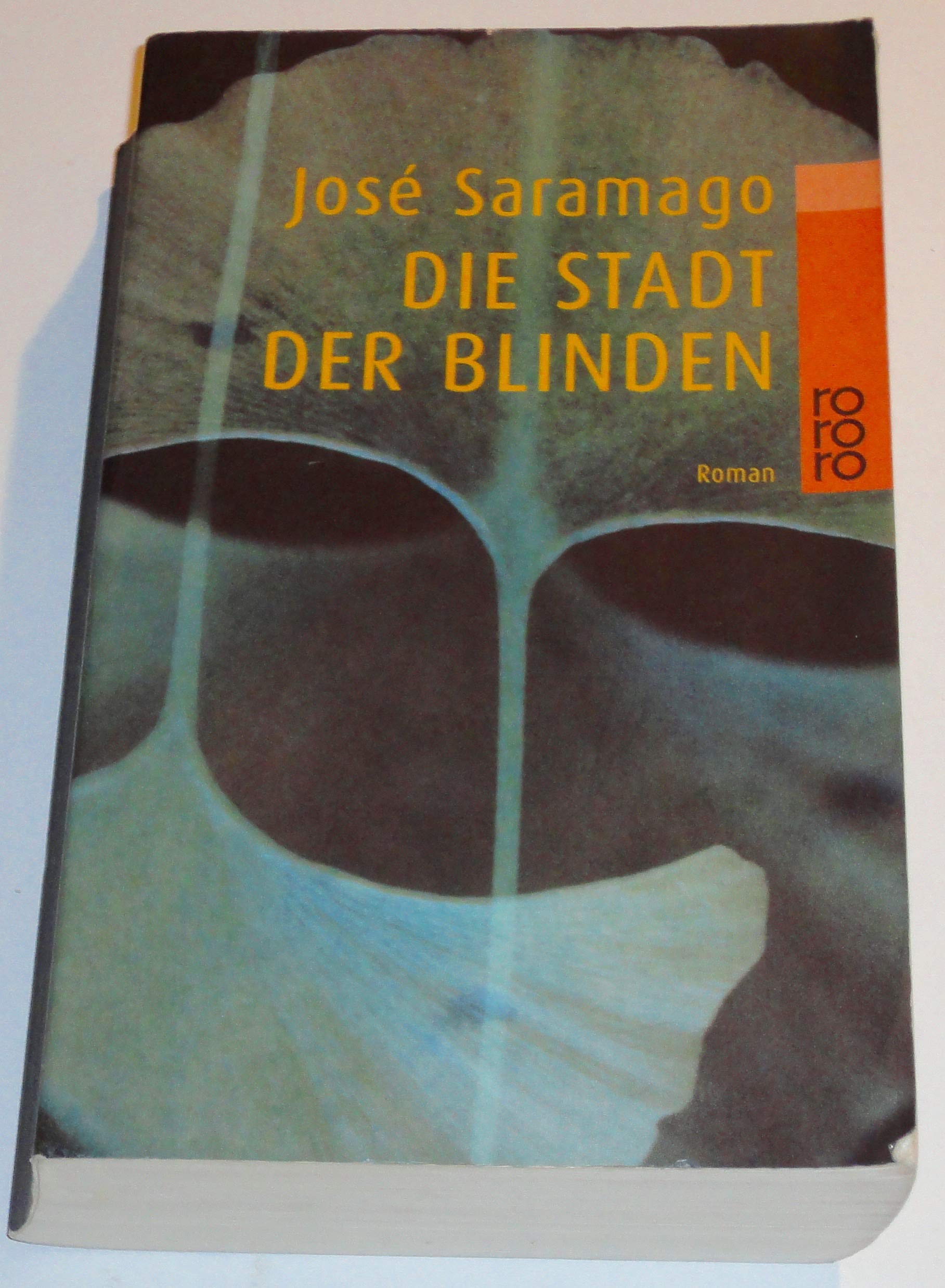 Die Stadt der Blinden: Roman. (rororo) Contemporary literature