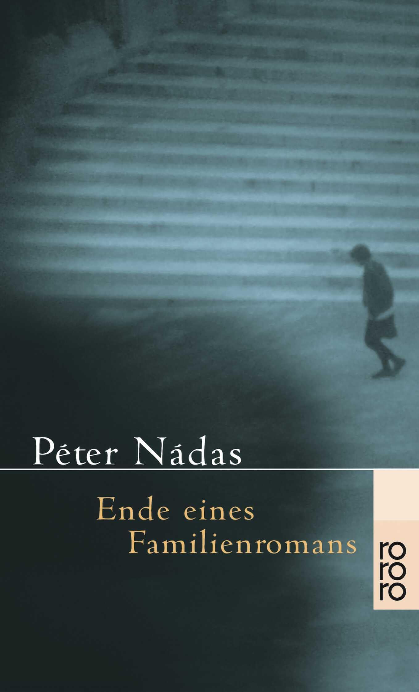 Ende eines Familienromans Contemporary literature Books