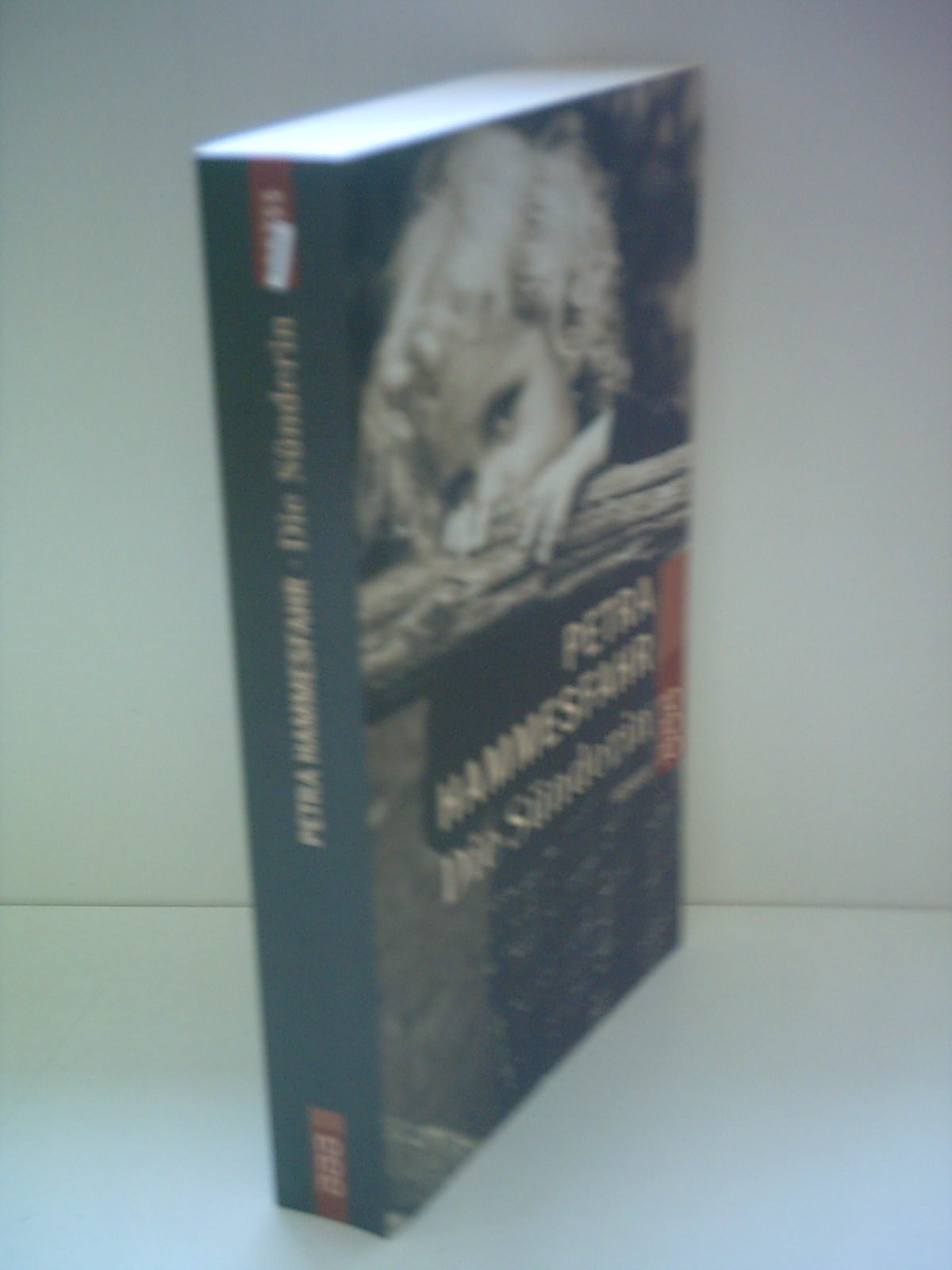 Die Sünderin: Roman Contemporary literature