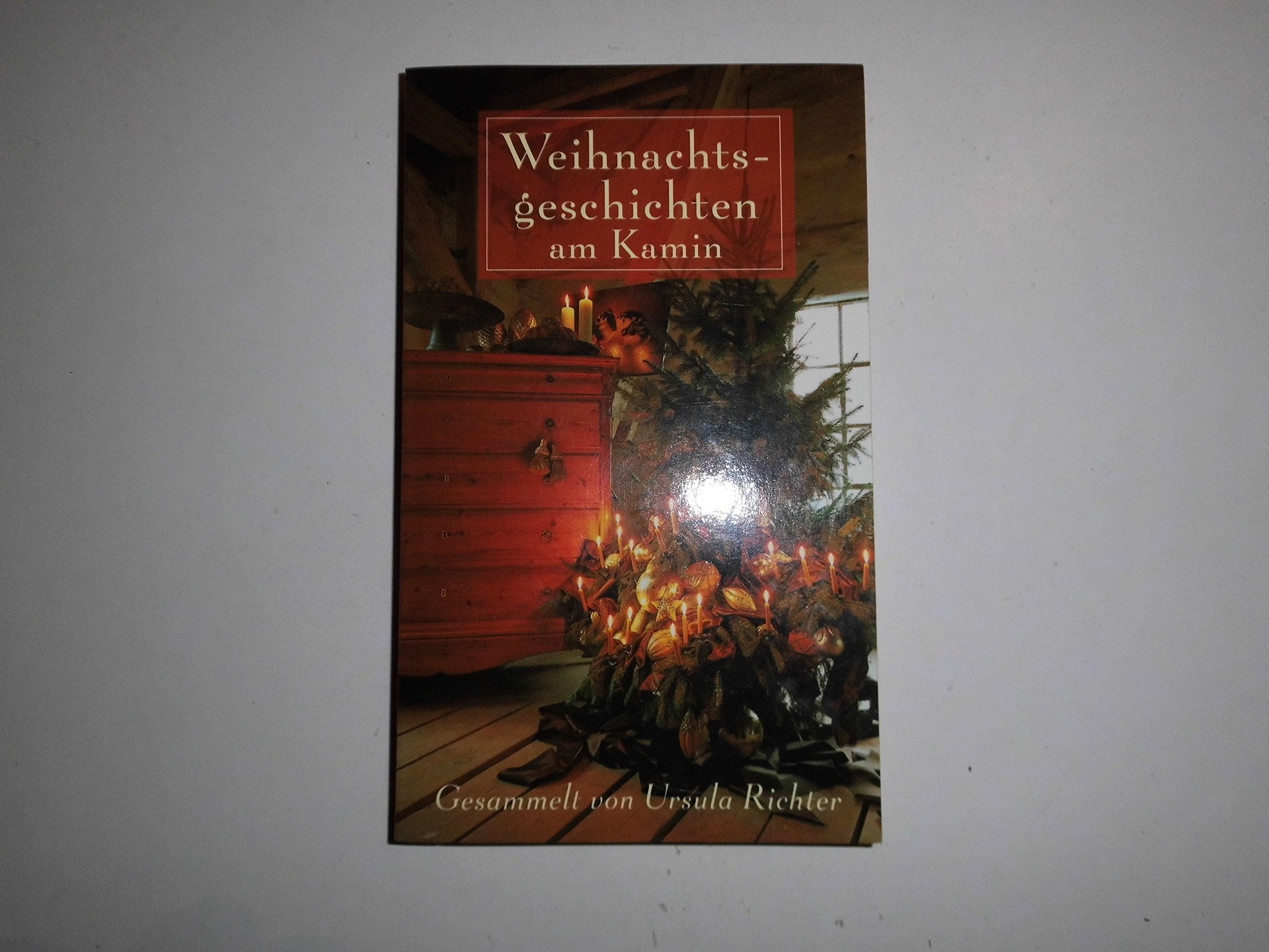 Weihnachtsgeschichten am Kamin 15 Contemporary literature