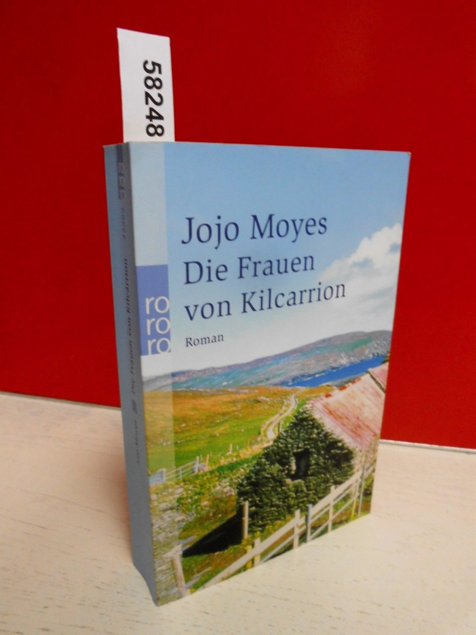 Die Frauen von Kilcarrion Contemporary literature