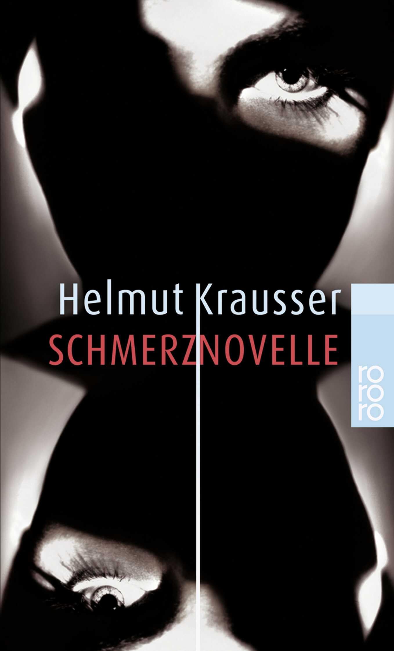 Schmerznovelle Contemporary literature Books