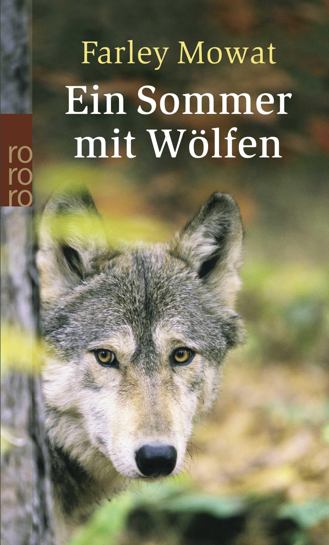 Product Image: Ein Sommer mit Wölfen