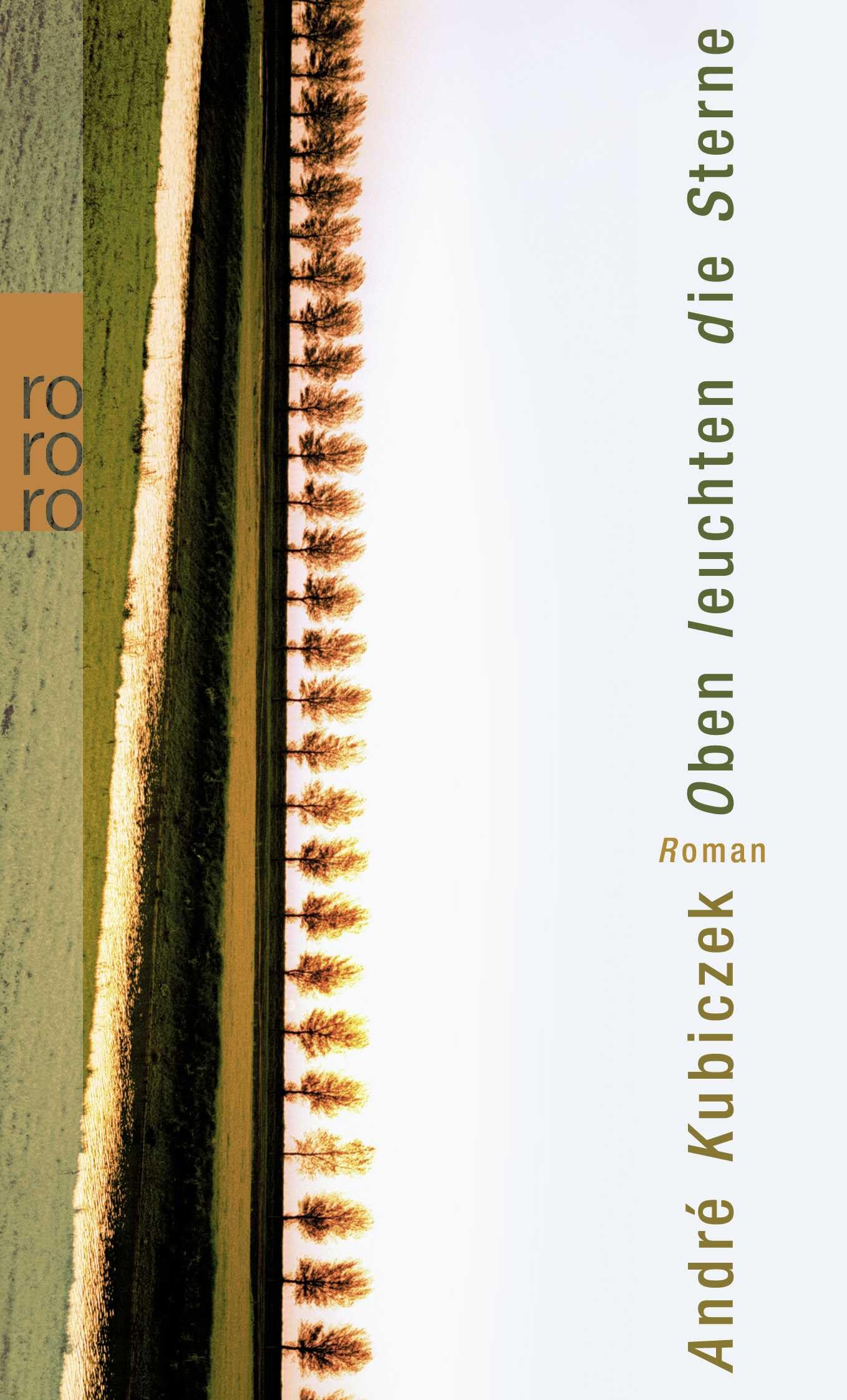 Oben leuchten die Sterne: Roman. Ausgezeichnet mit dem Candide Preis des Literarischen Vereins Minden 2007 Contemporary literature Books
