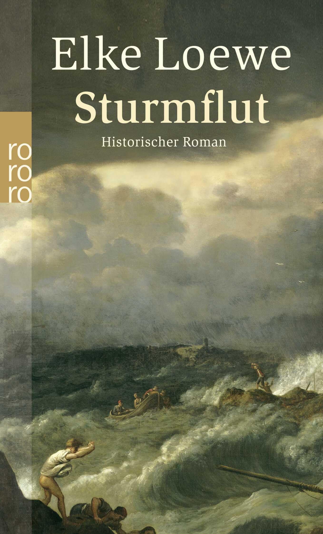 Sturmflut Contemporary literature Books