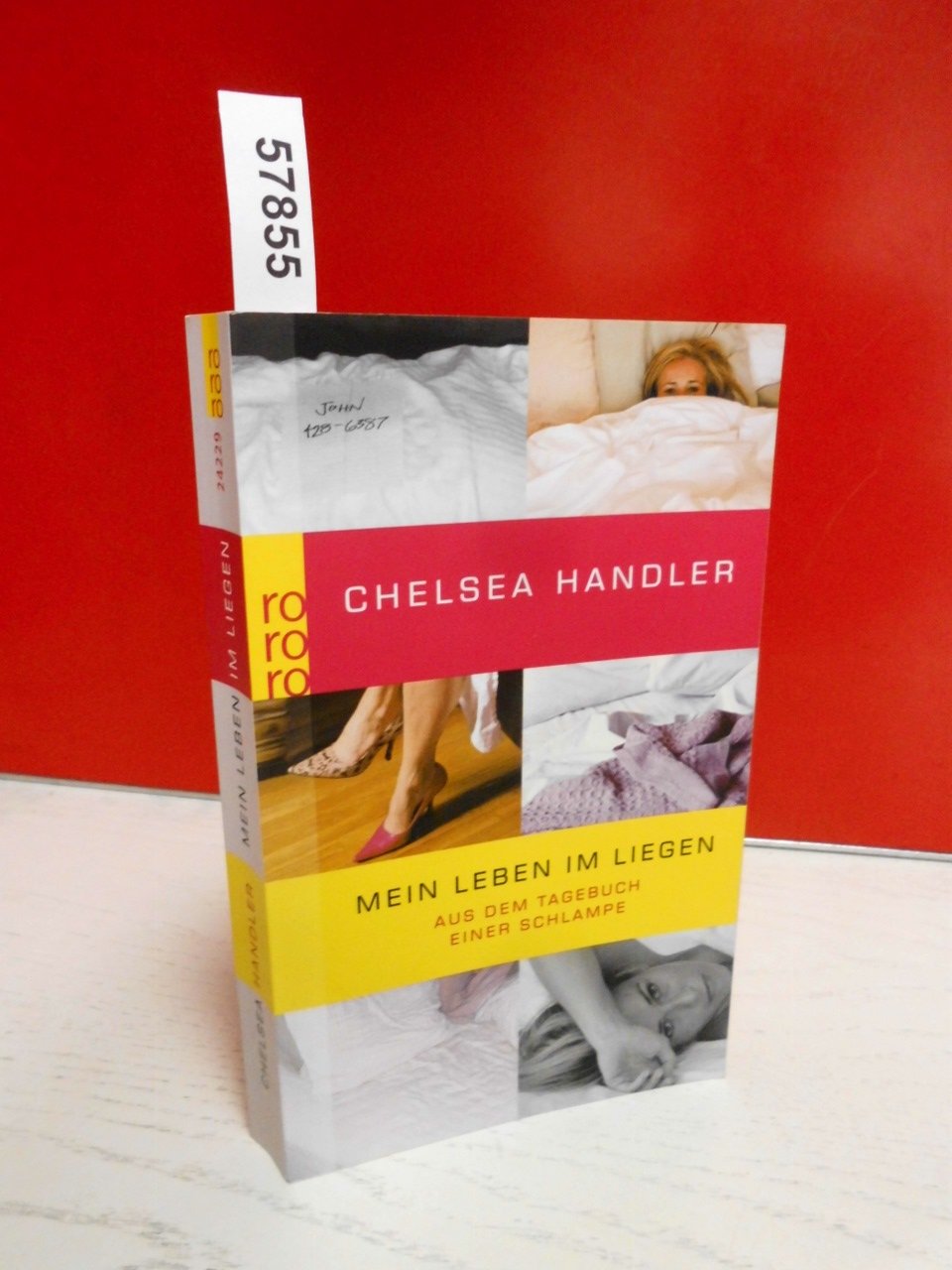 Mein Leben im Liegen: Aus dem Tagebuch einer Schlampe Contemporary literature
