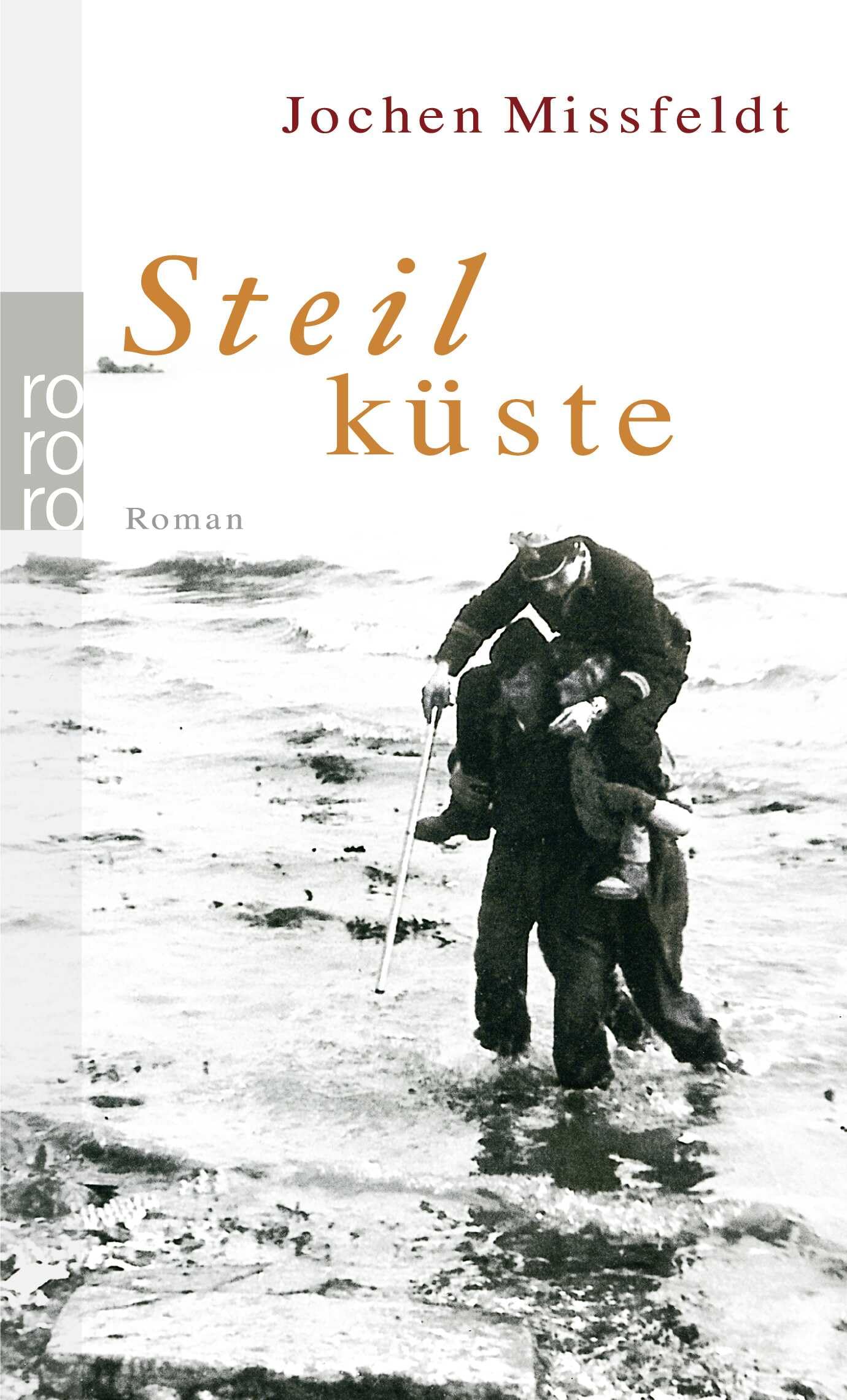 Steilküste Contemporary literature Books