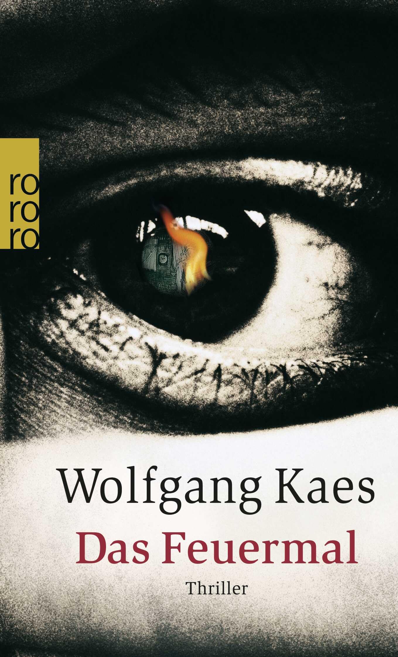 Das Feuermal Contemporary literature Books