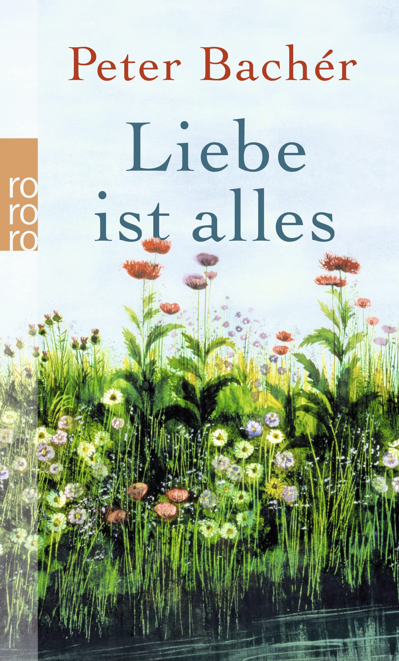 Liebe ist alles Contemporary literature Books