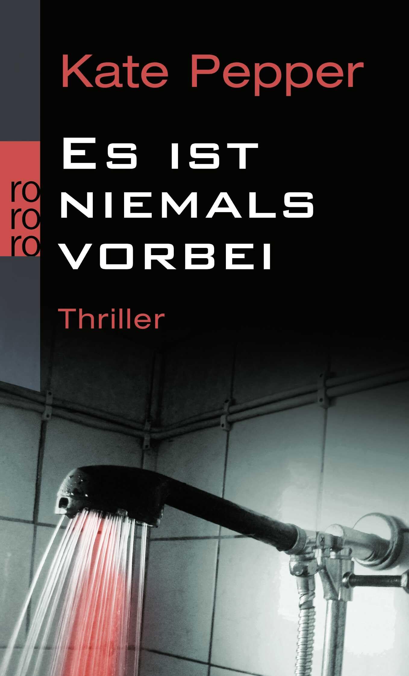 Es ist niemals vorbei Contemporary literature Books
