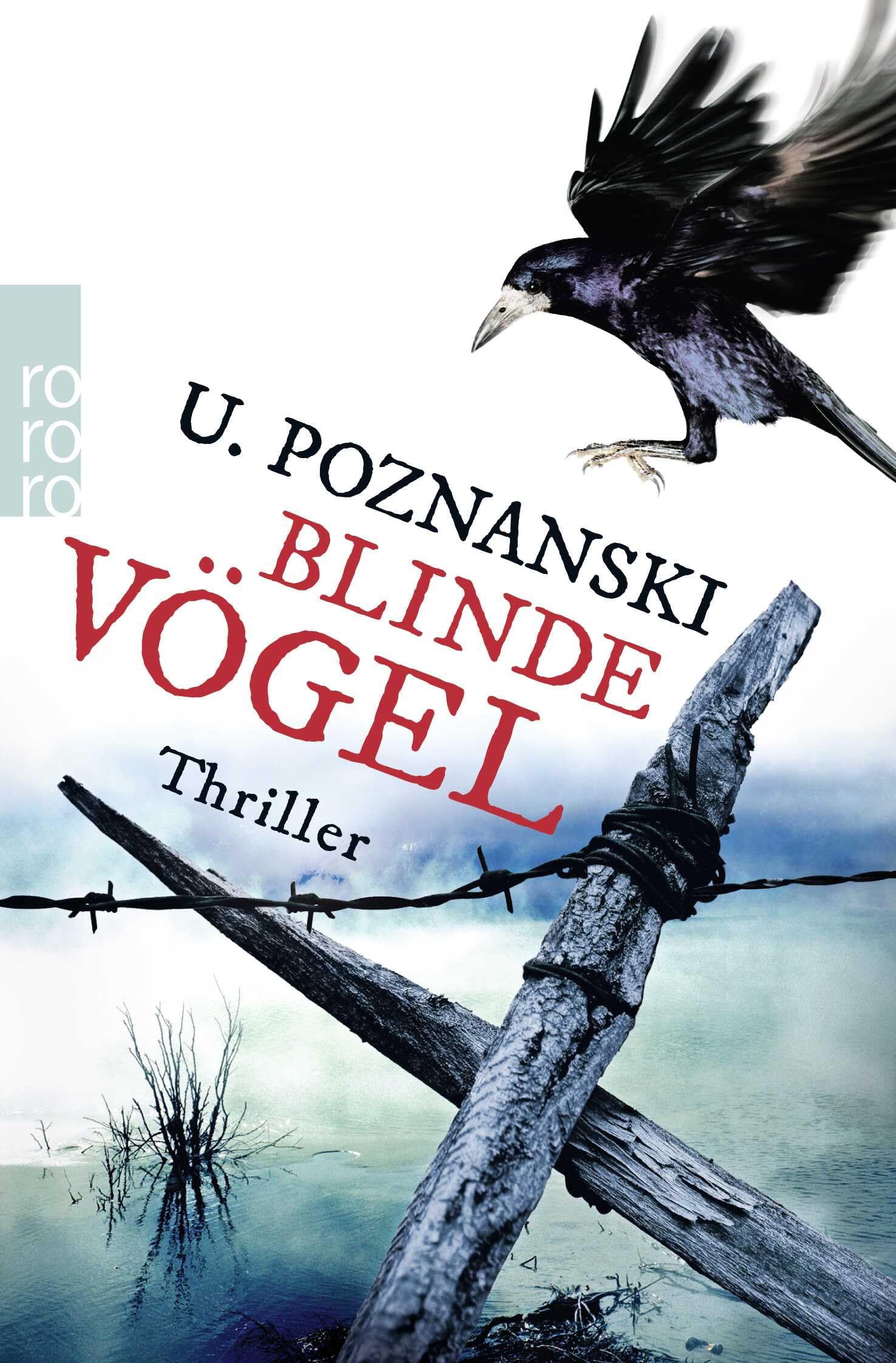 Blinde Vögel Contemporary literature Books