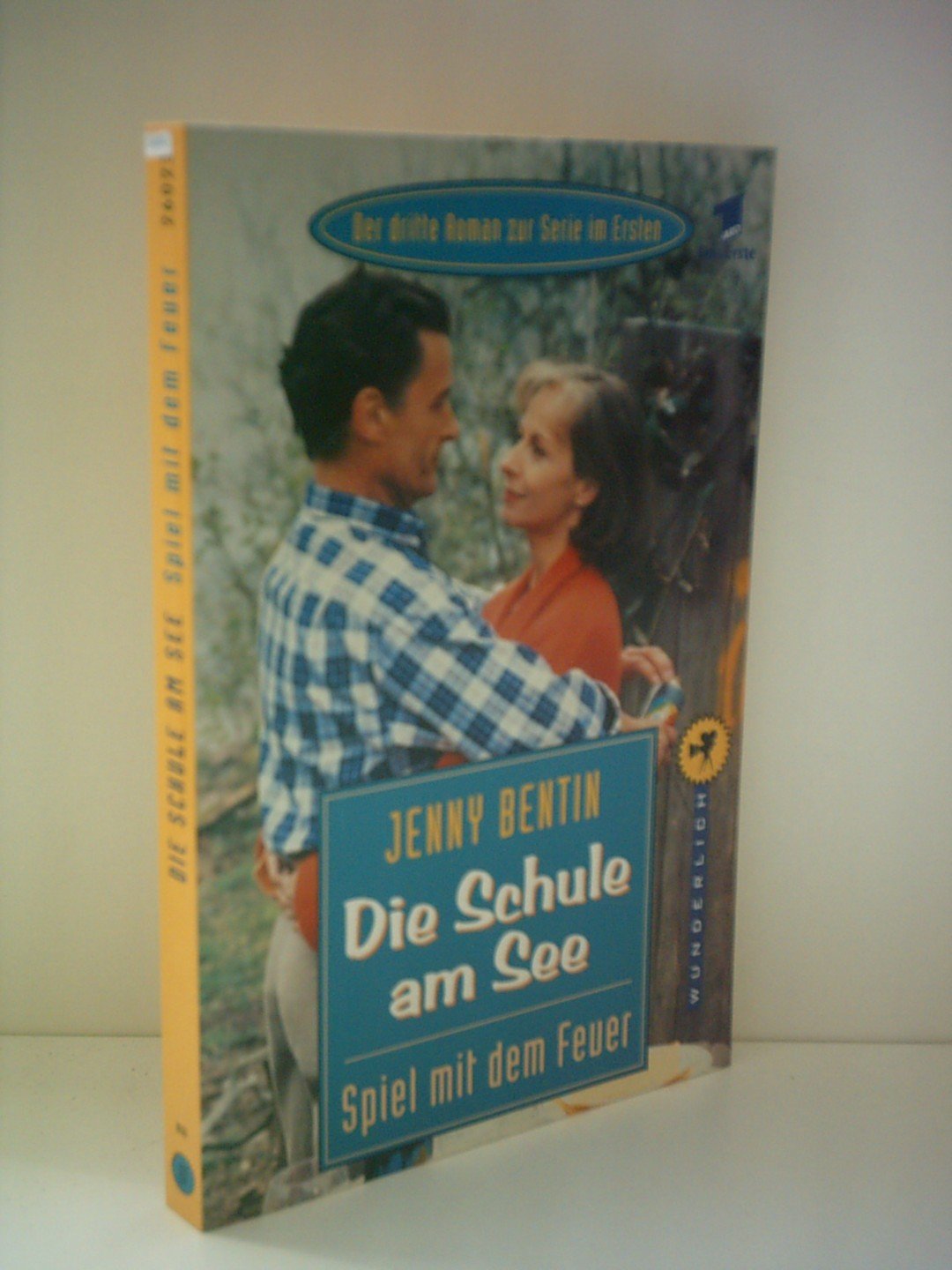 Die Schule am See. Spiel mit dem Feuer: Der dritte Roman zur Serie im Ersten (Wunderlich Taschenbuch) Books