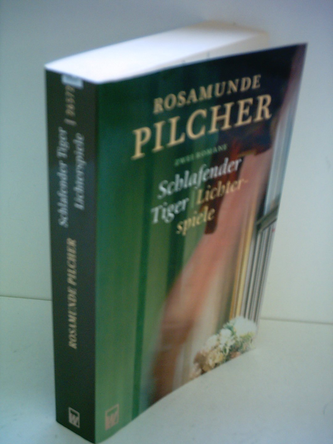 Schlafender Tiger / Lichterspiele: Zwei Romane Contemporary literature