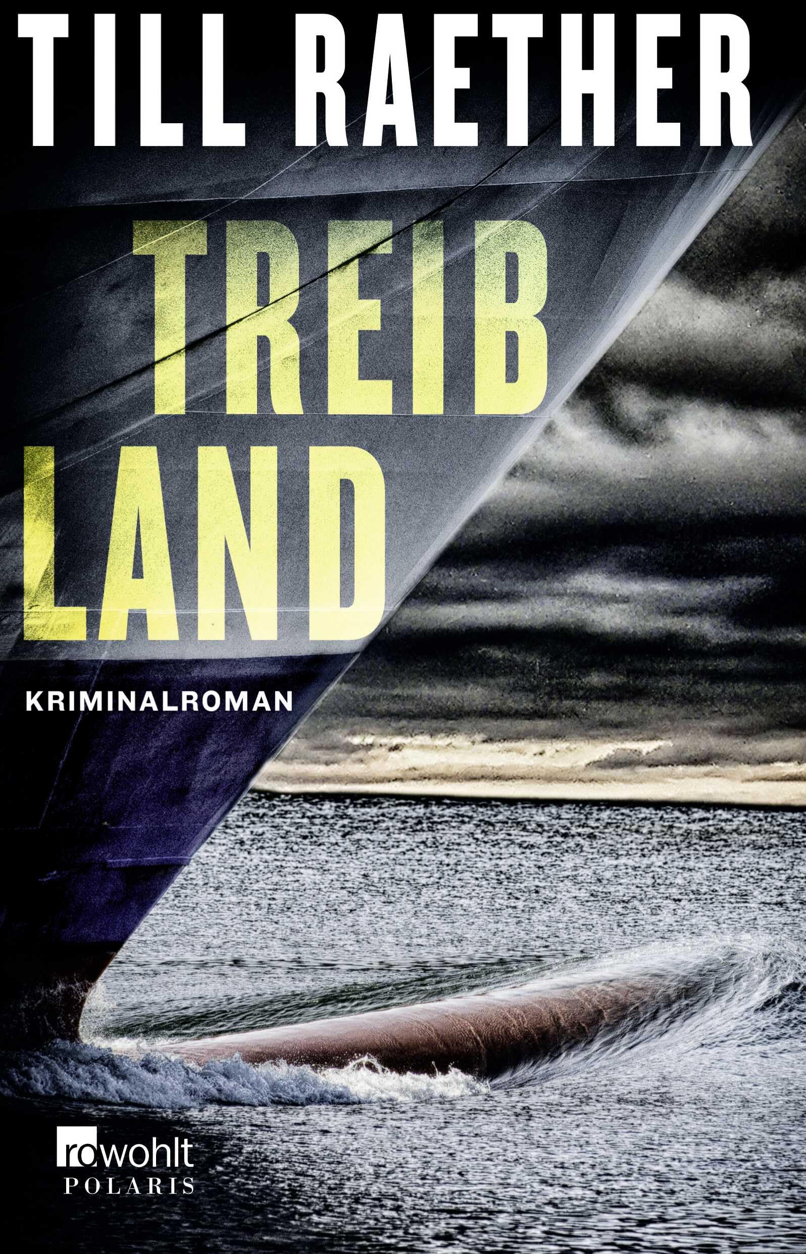 Treibland Contemporary literature Books
