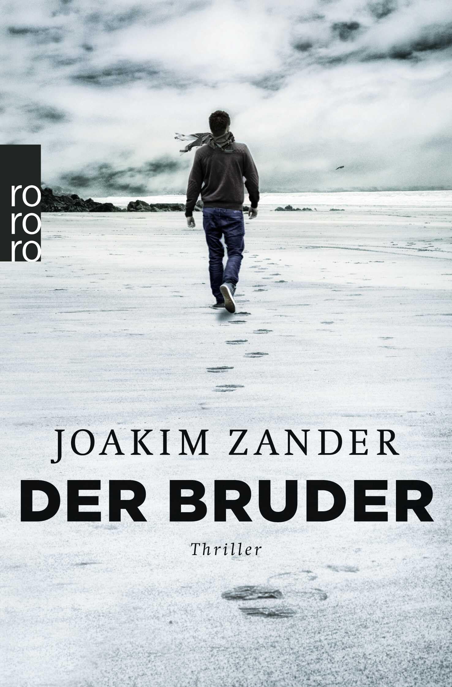 Der Bruder Contemporary literature Books