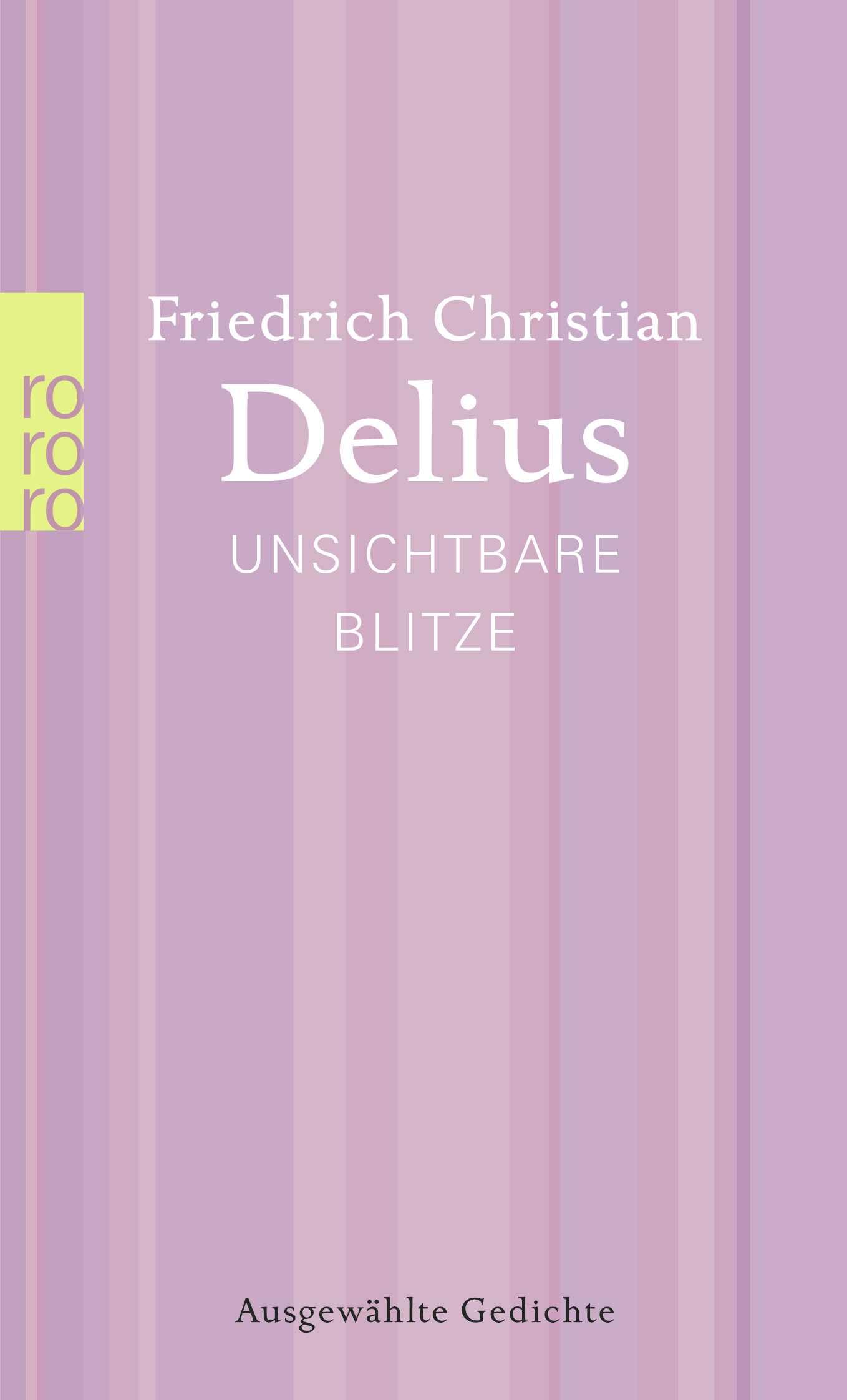 Unsichtbare Blitze: Ausgewählte Gedichte (Delius: Werkausgabe in Einzelbänden) Contemporary literature