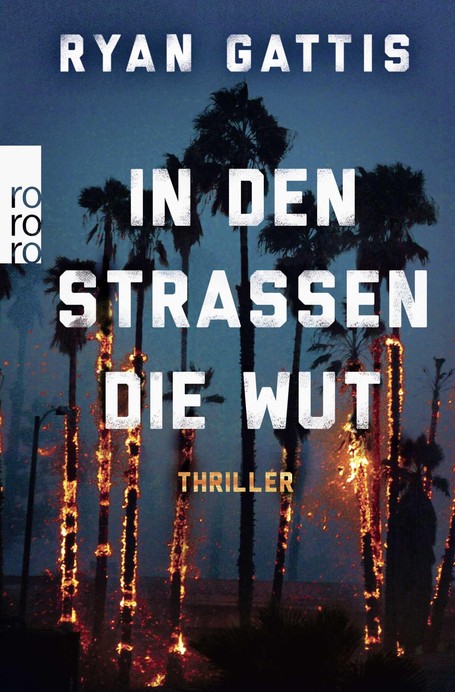 Product Image: In den Straßen die Wut