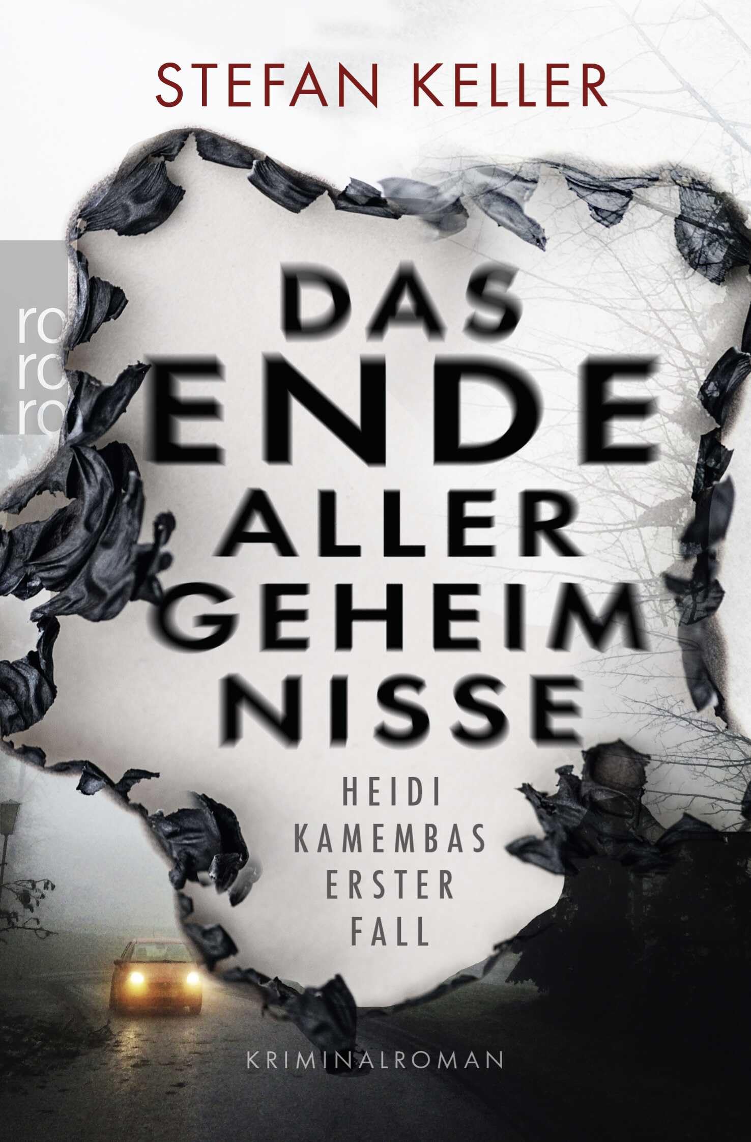 Das Ende aller Geheimnisse Contemporary literature