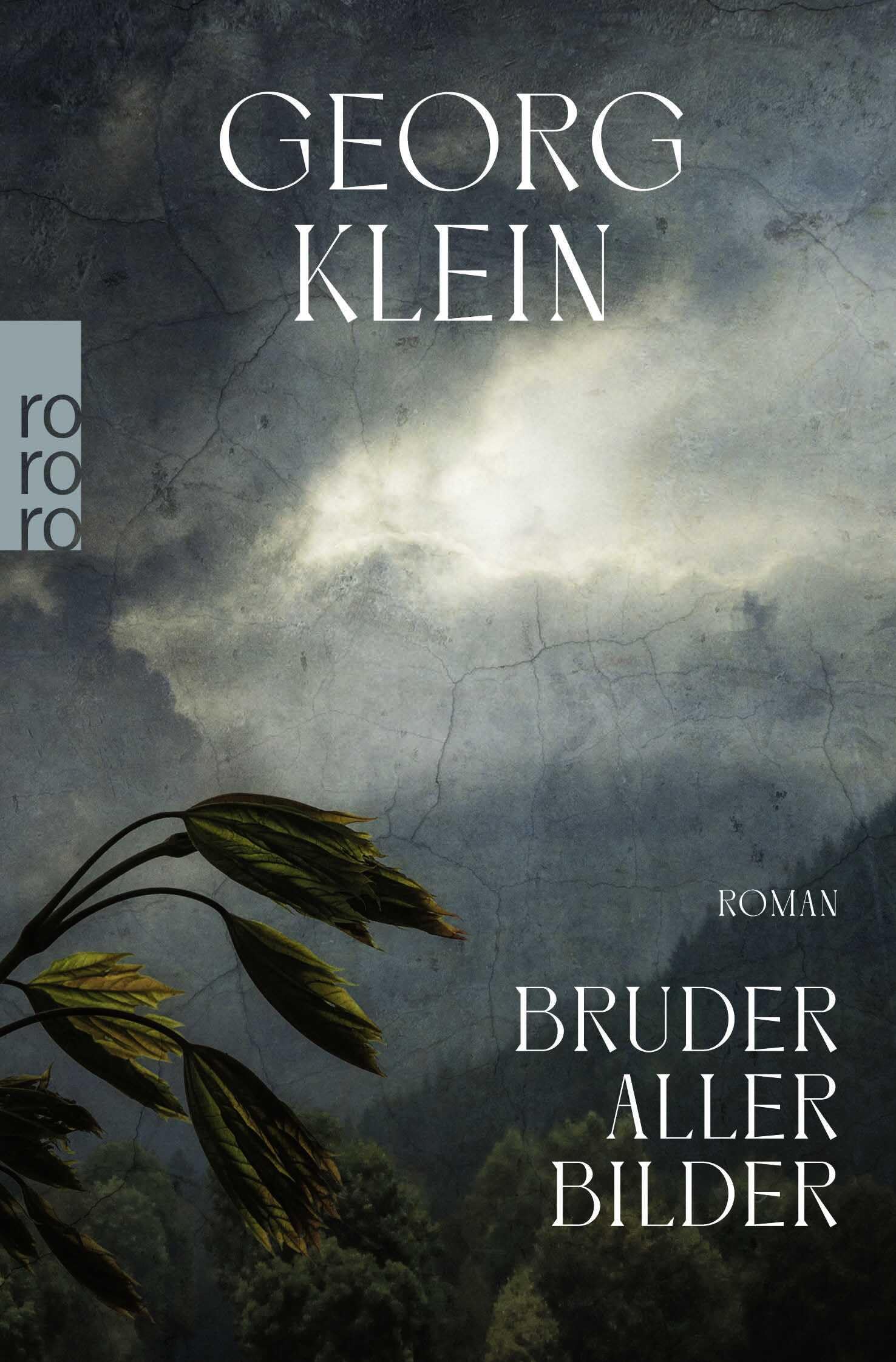 Bruder aller Bilder Contemporary literature Books