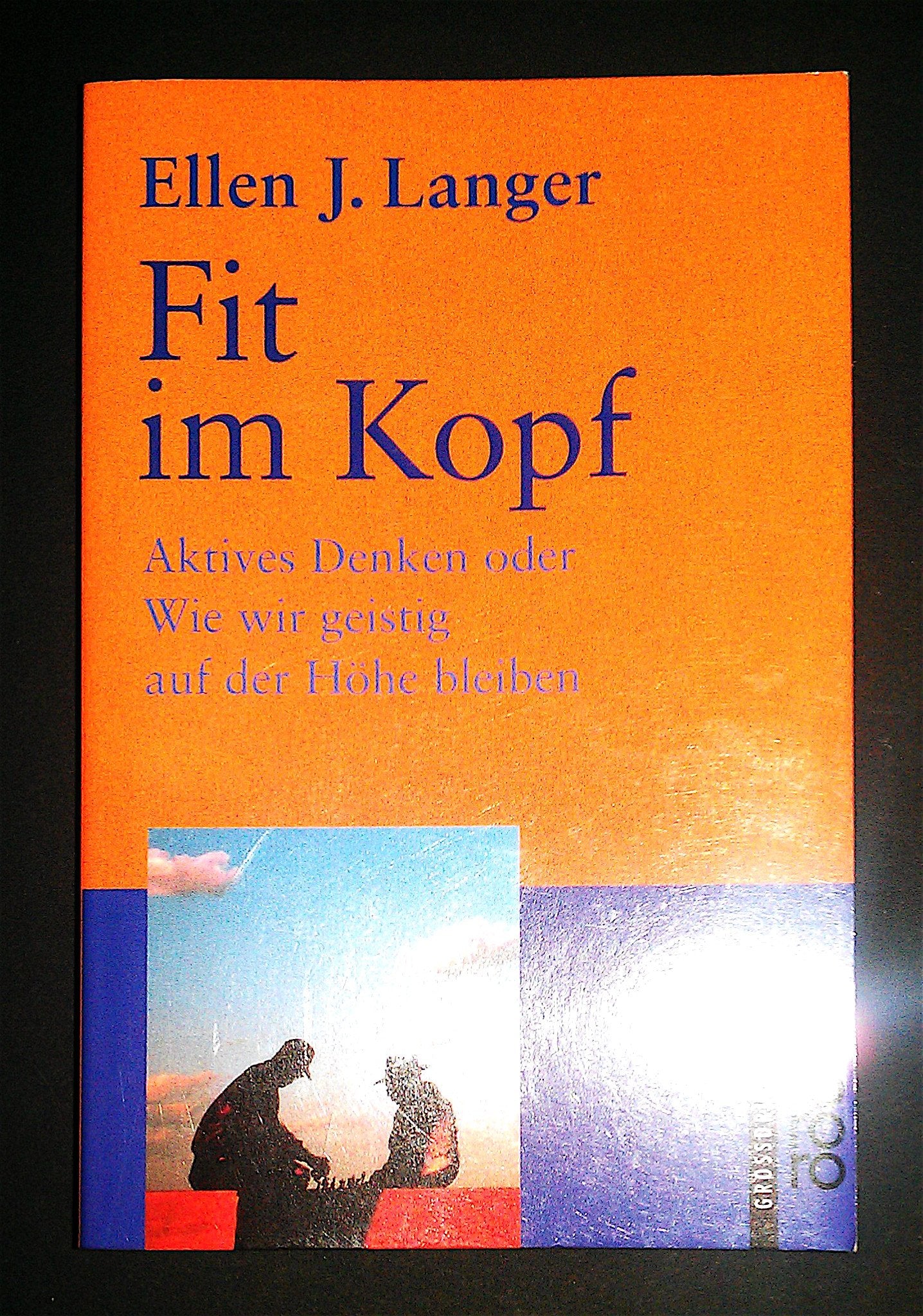Fit im Kopf: Aktives Denken oder Wie wir geistig auf der Höhe bleiben Fiction