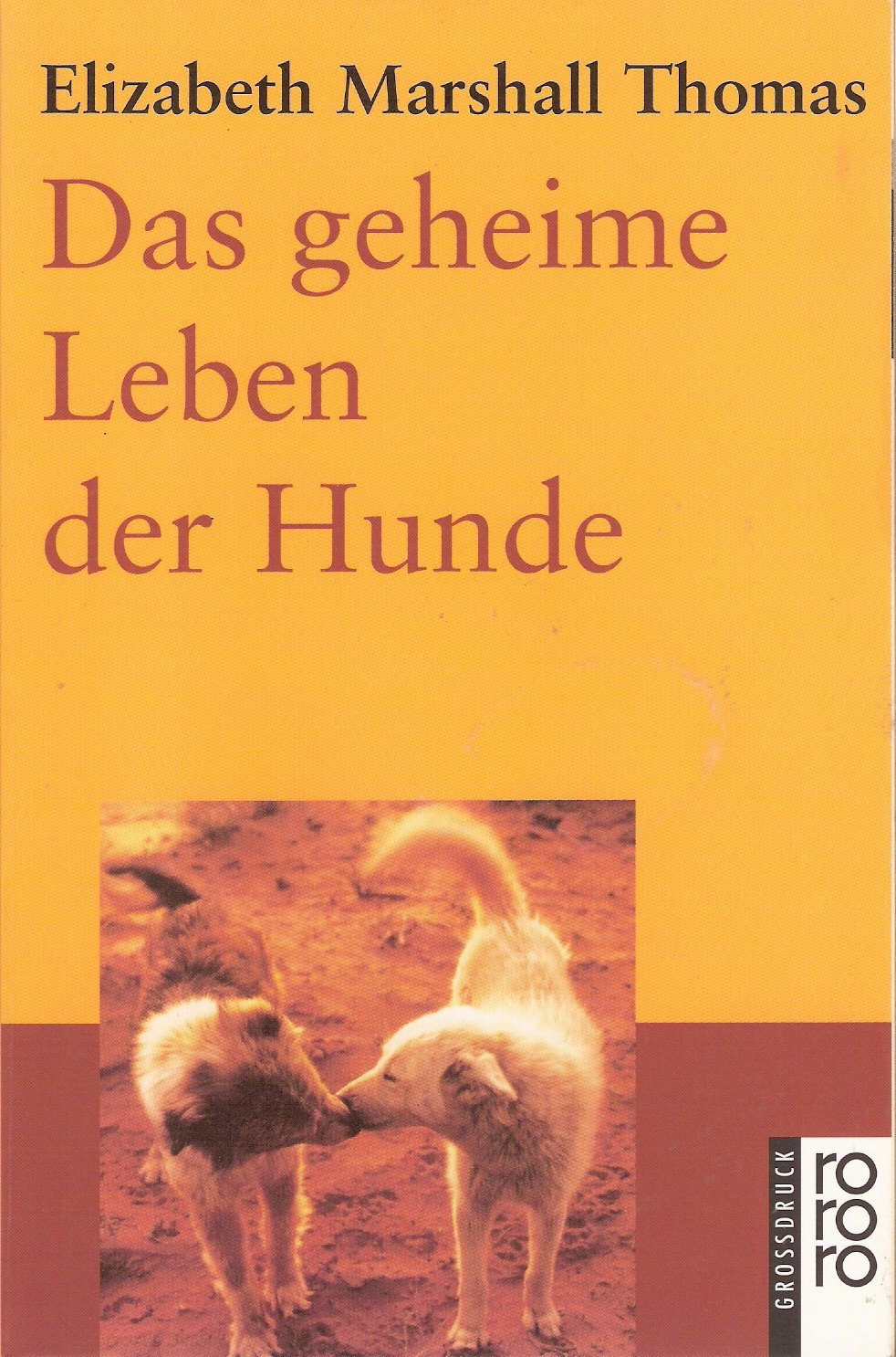 Product Image: Das geheime Leben der Hunde