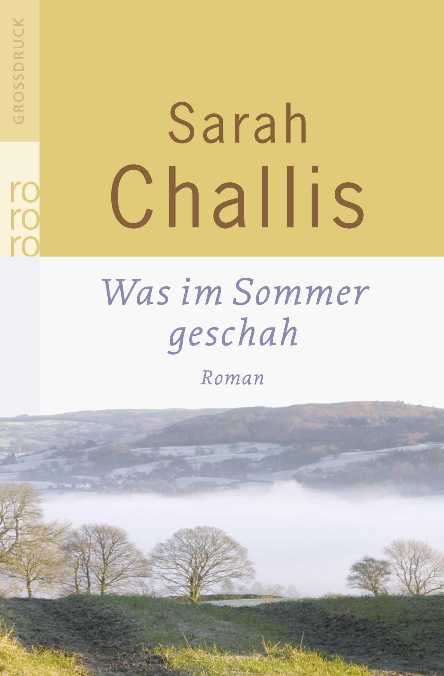 Was im Sommer geschah: Roman Contemporary literature
