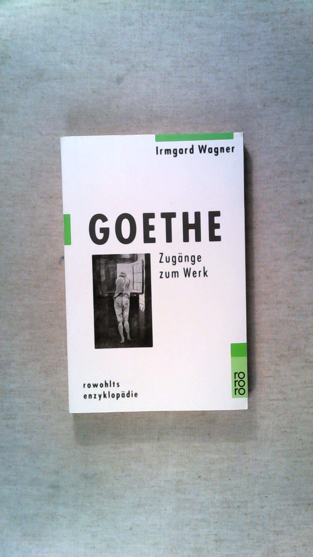 Goethe: Zugänge zum Werk (rororo - rowohlts enzyklopädie) Professional & Reference Books
