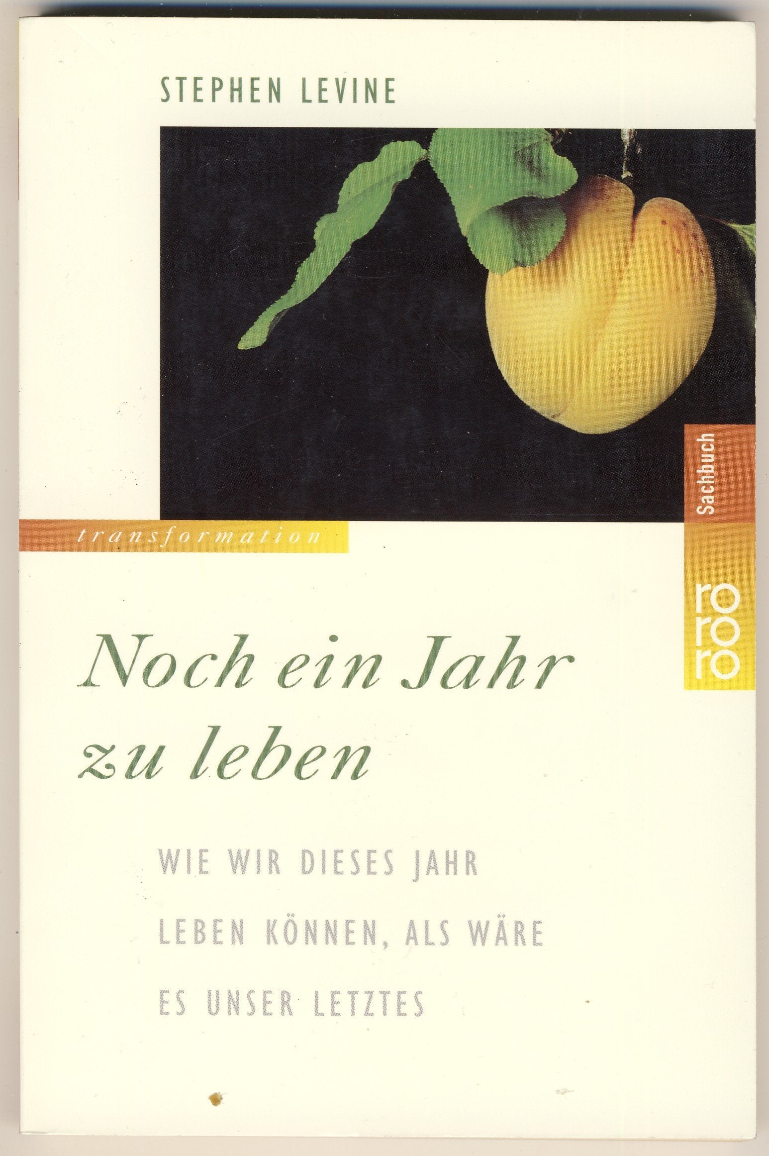 Noch ein Jahr zu leben. Wie wir dieses Jahr leben können, als wäre es unser letztes. Self-help