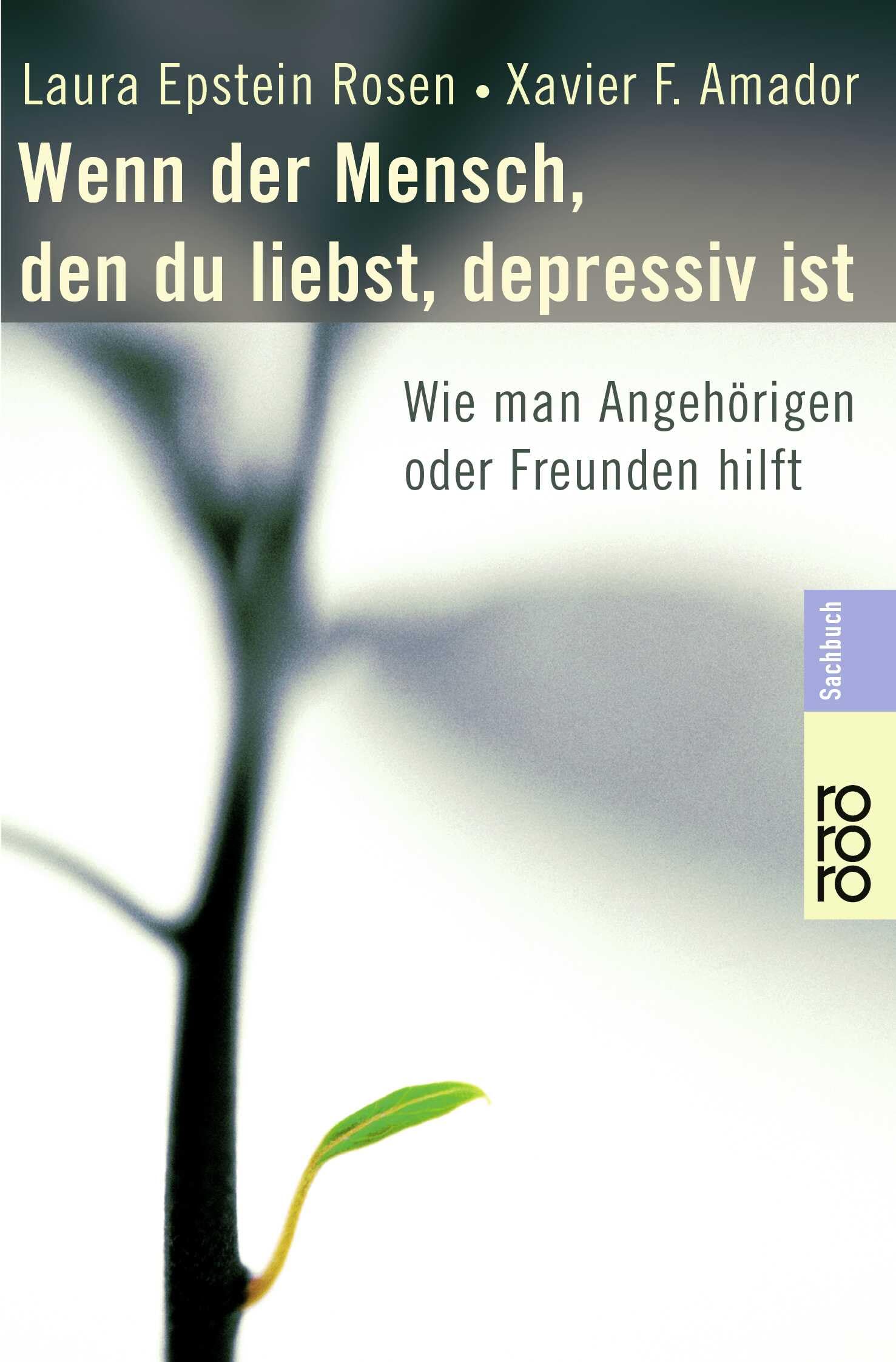 Wenn der Mensch, den du liebst, depressiv ist Social Sciences