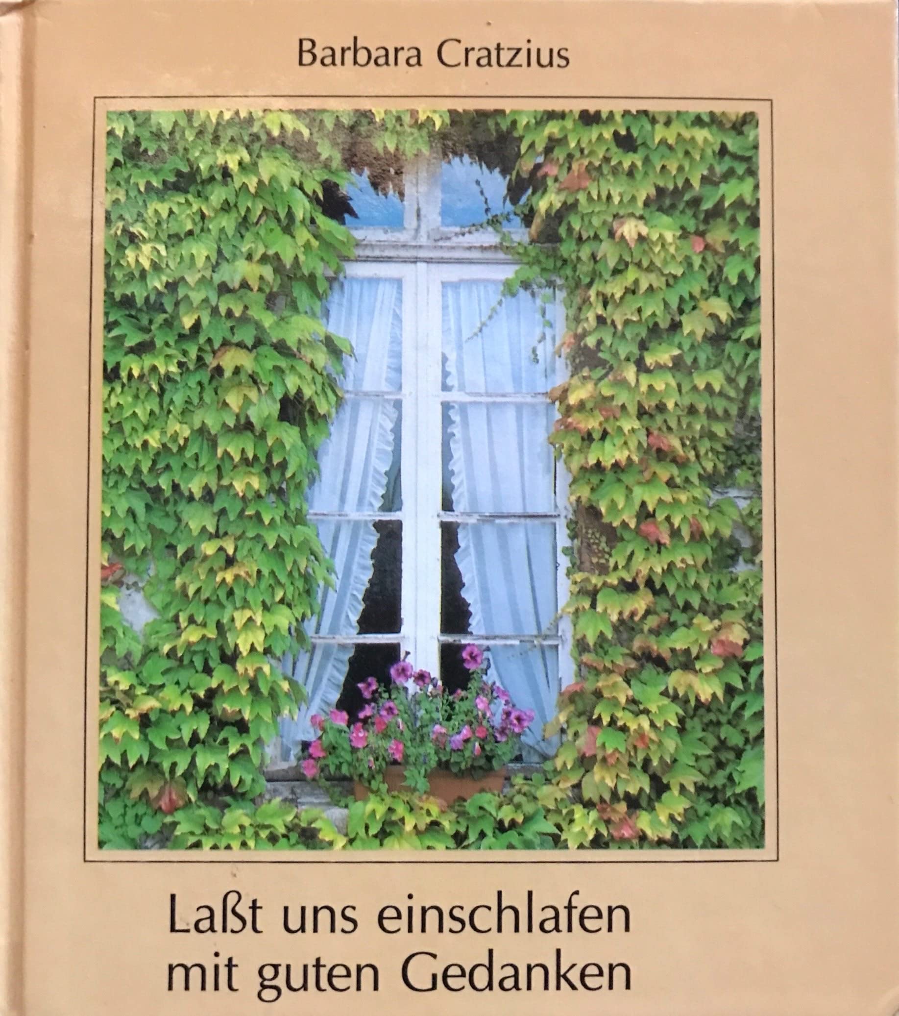 Lasst uns einschlafen mit guten Gedanken (SJD-Bild-Text-Bände) Books