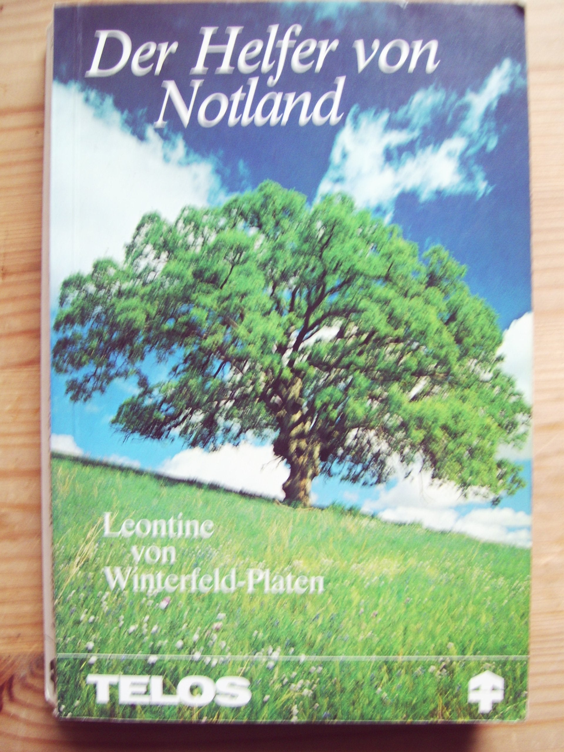 Der Helfer von Notland Books