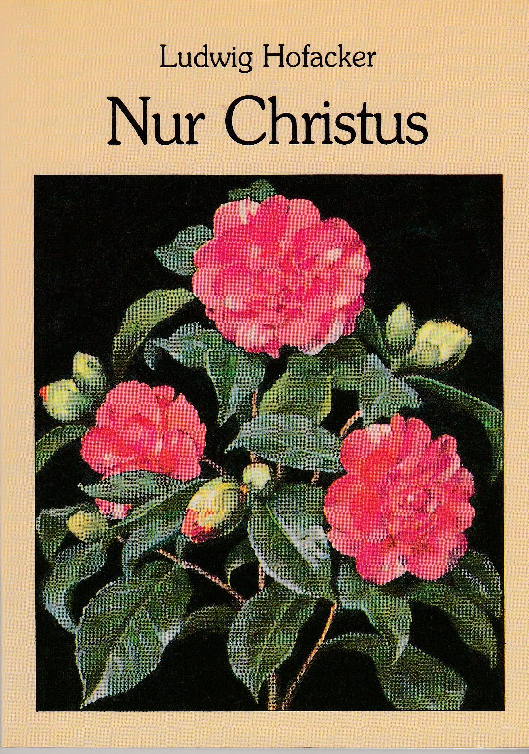Nur Christus (Livre en allemand) book