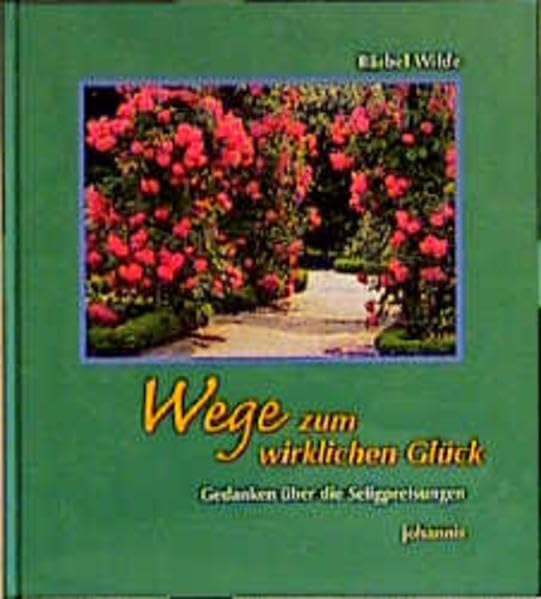 Die Drachenschiffe.: Historische Wikingergeschichte. (Klare Linie) Books
