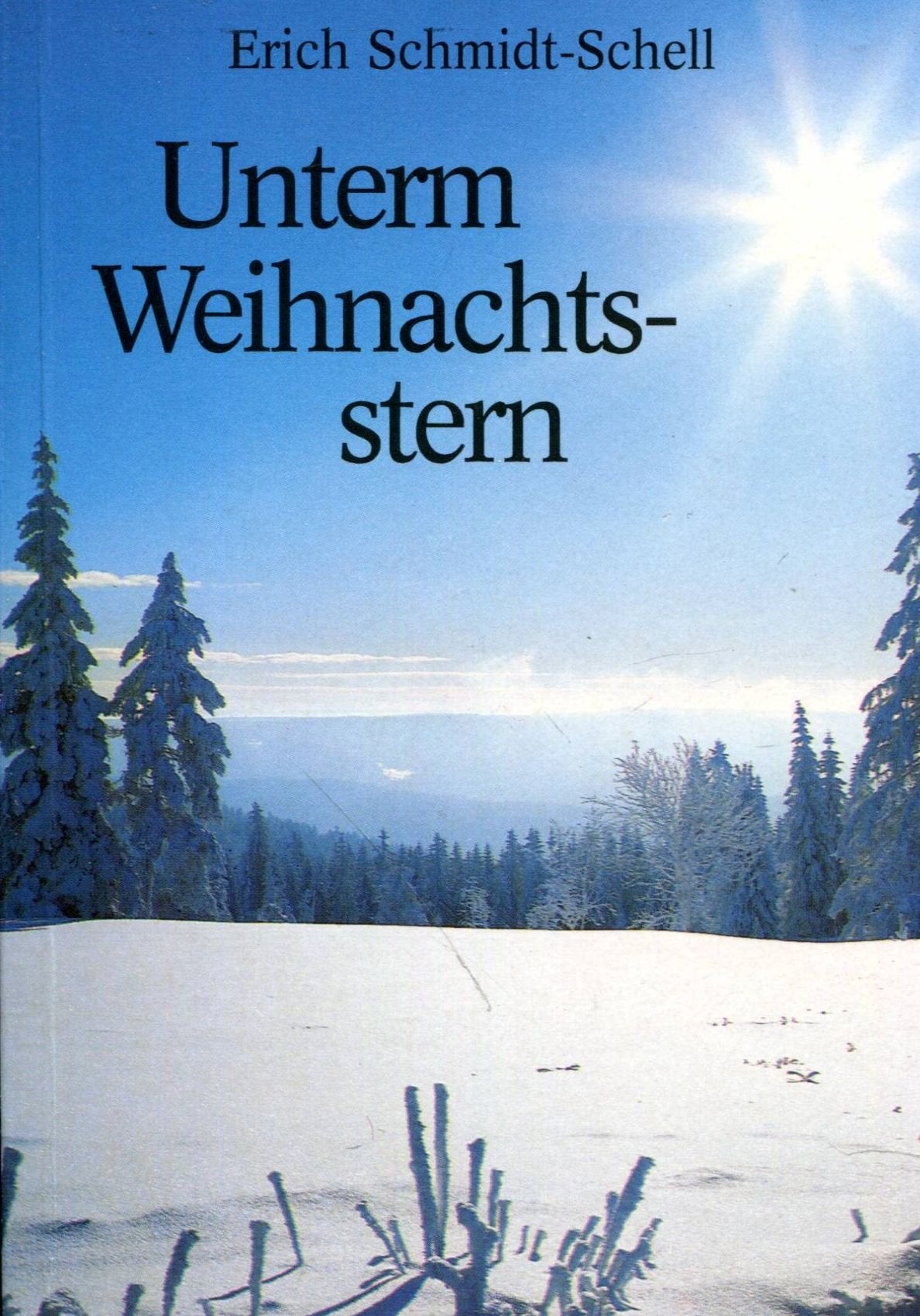 Unterm Weihnachtsstern. Ein Lesebuch für die ganze Familie Parents & Children
