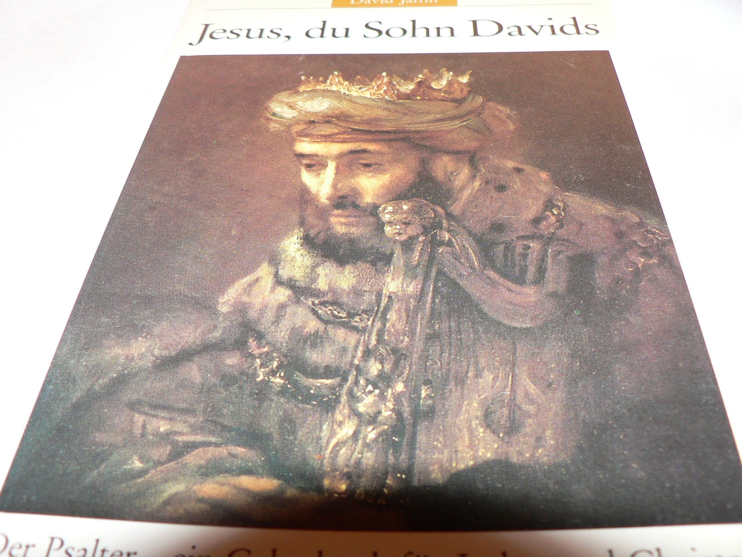 Jesus, du Sohn Davids. Der Psalter - das Gebetbuch für Juden und Christen I Books