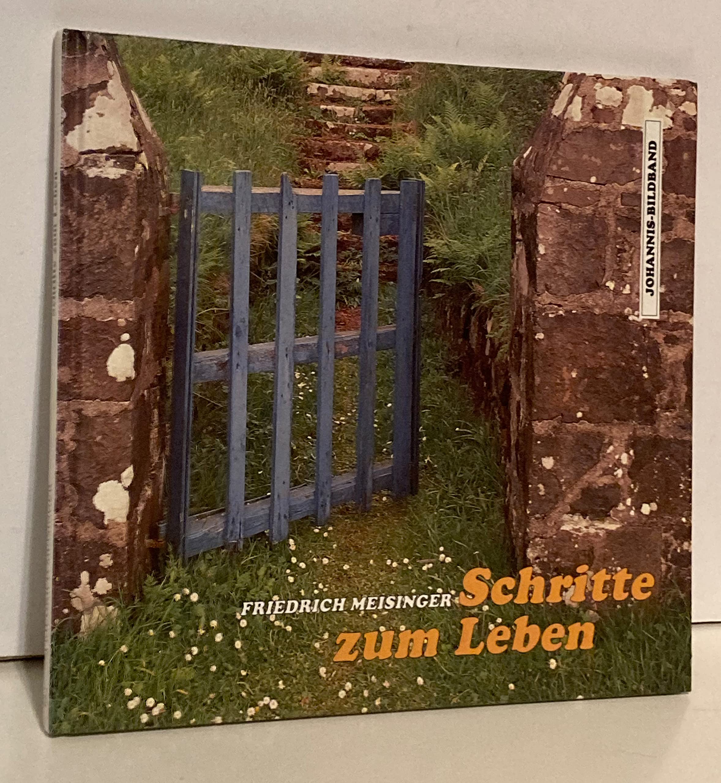 Product Image: Schritte zum Leben