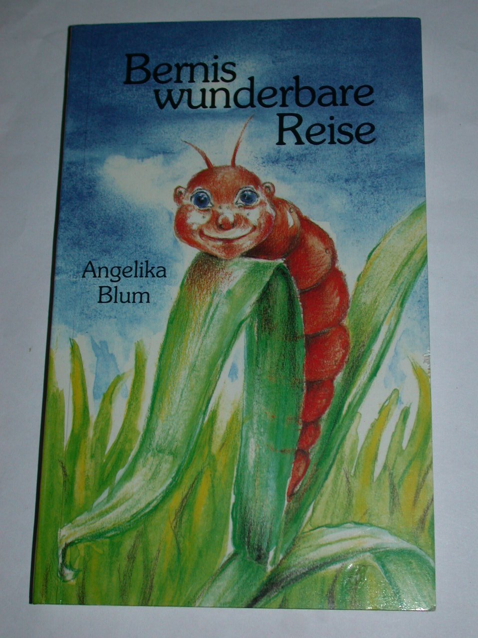 Product Image: Bernis wunderbare Reise