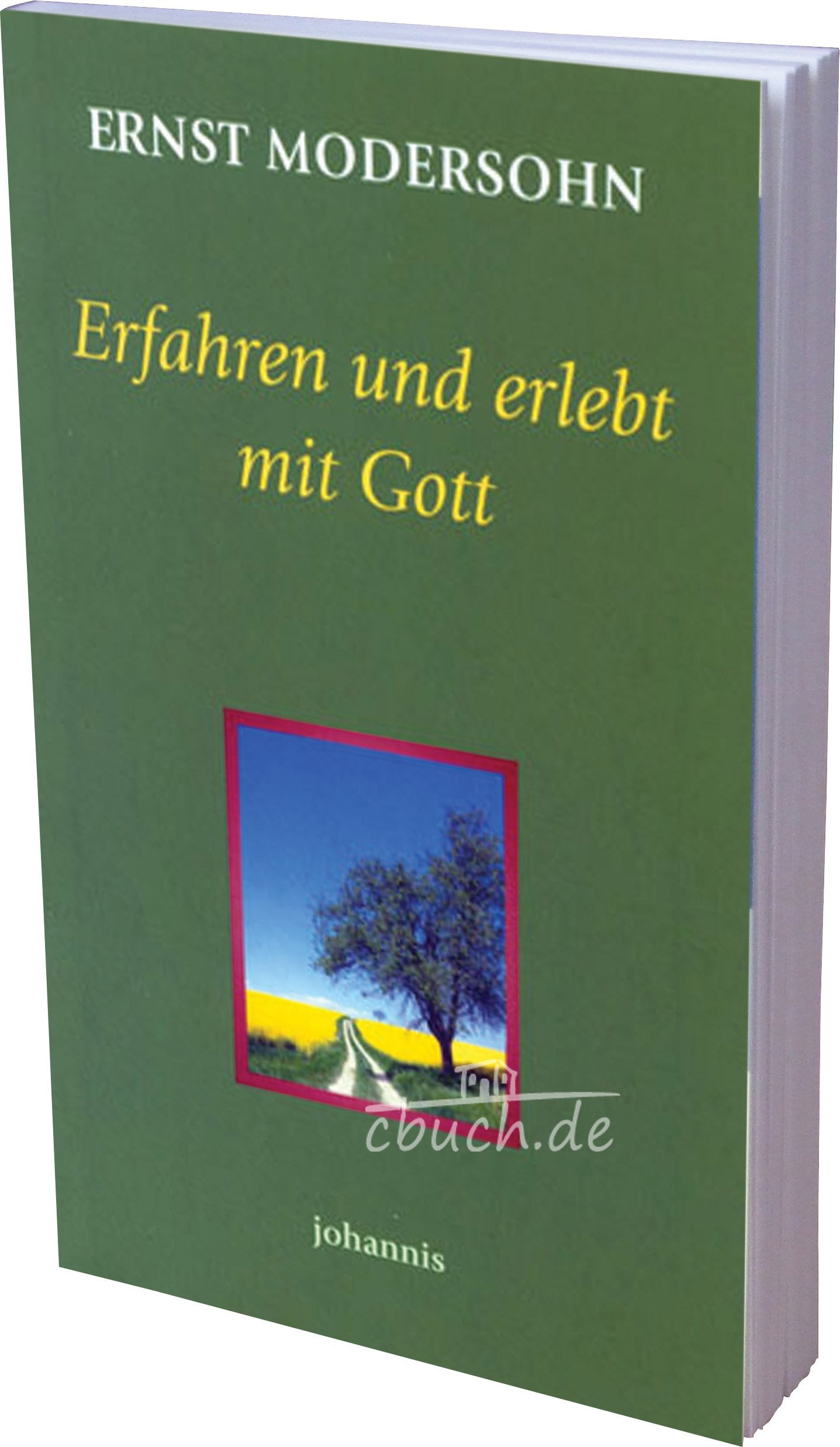 Erfahren und erlebt mit Gott (TELOS - Taschenbücher) Contemporary literature
