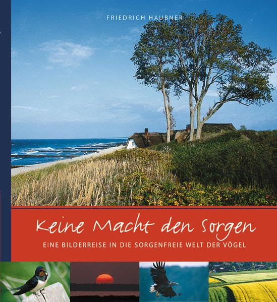 Keine Macht den Sorgen: Eine Bilderreise in die sorgenfreie Welt der Vögel Lifestyle