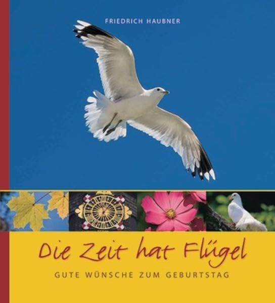 Die Zeit hat Flügel: Gute Wünsche zum Geburtstag (SJD-Bild-Text-Bände) Religion & Esotericism
