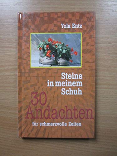 Steine in meinem Schuh: 30 Andachten für schmerzvolle Zeiten Lifestyle
