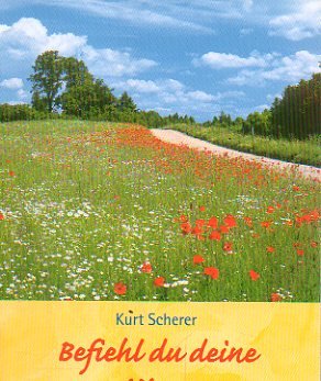 Befiehl du deine Wege: Segenswünsche für jeden Tag Lifestyle