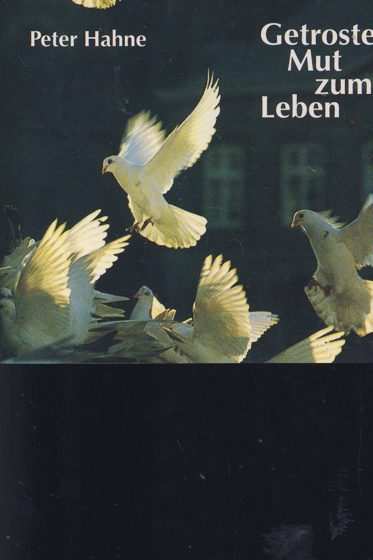 Getroster Mut zum Leben (Foto-Text-Hefte) Lifestyle