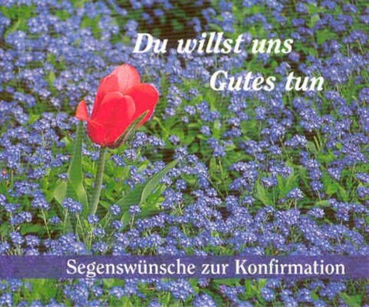 Du willst uns Gutes tun: Segenswünsche zur Konfirmation (Foto-Text-Hefte) Religion & Esotericism
