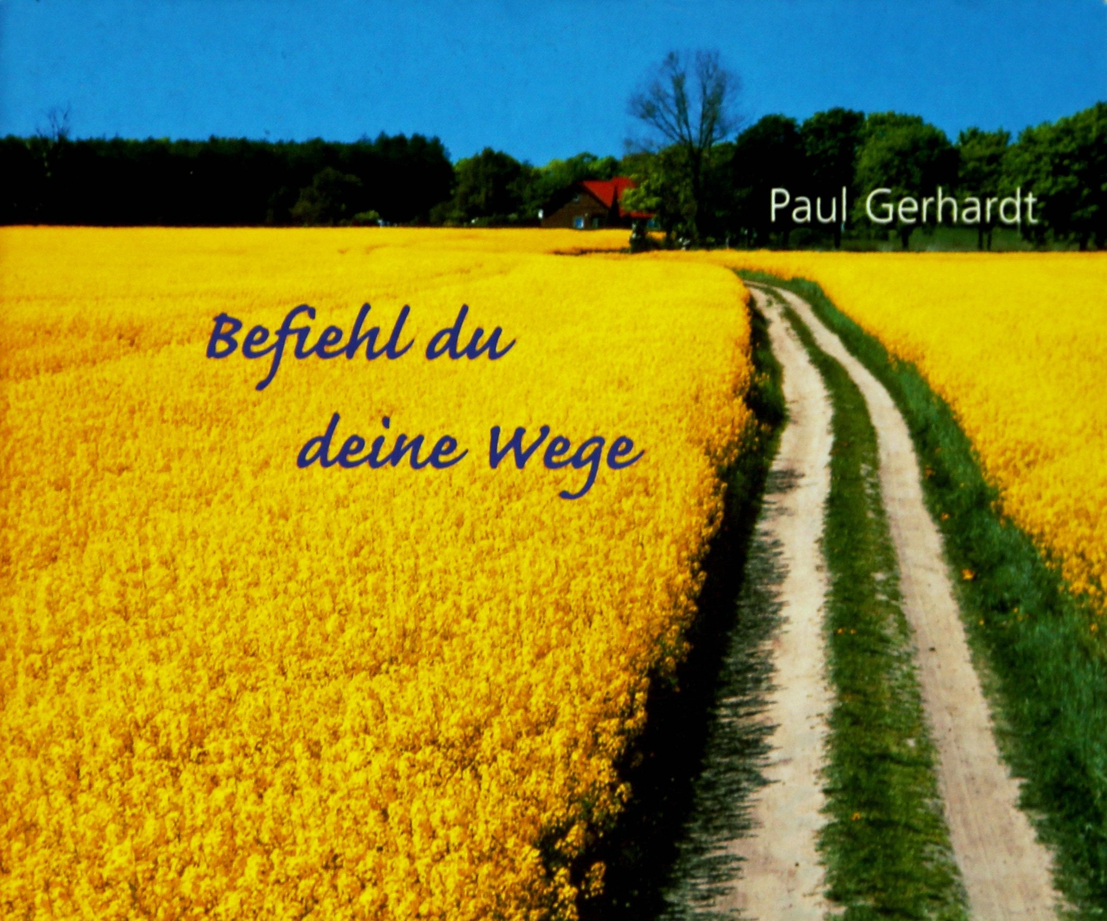 Befiehl du deine Wege (Foto-Text-Hefte) Religion & Esotericism