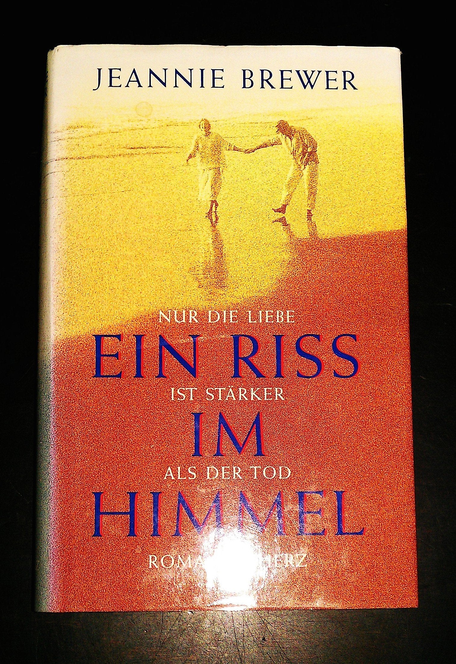 Ein Riss im Himmel: Nur die Liebe ist stärker als der Tod Contemporary literature