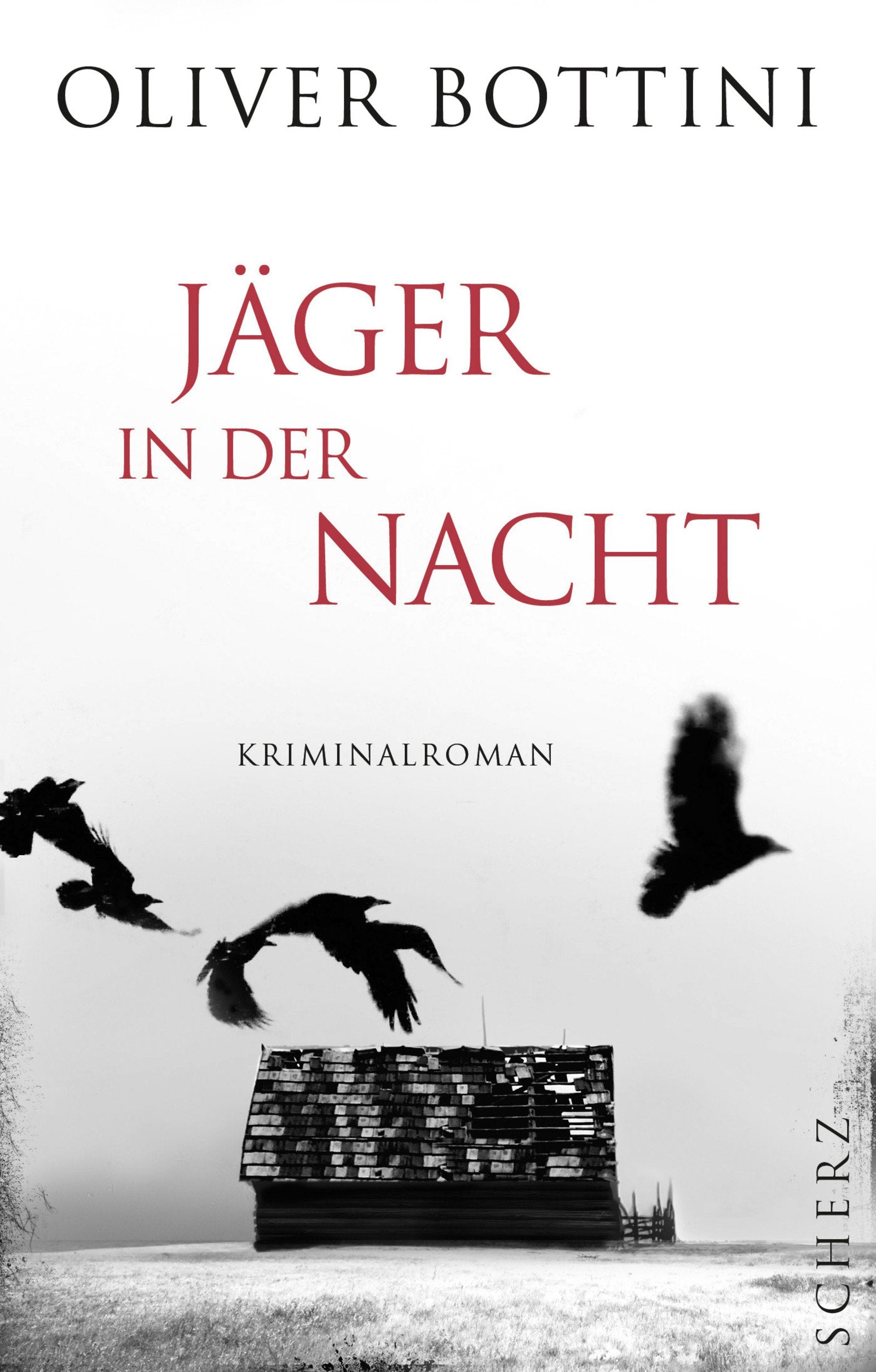 Jäger in der Nacht: Kriminalroman Contemporary literature