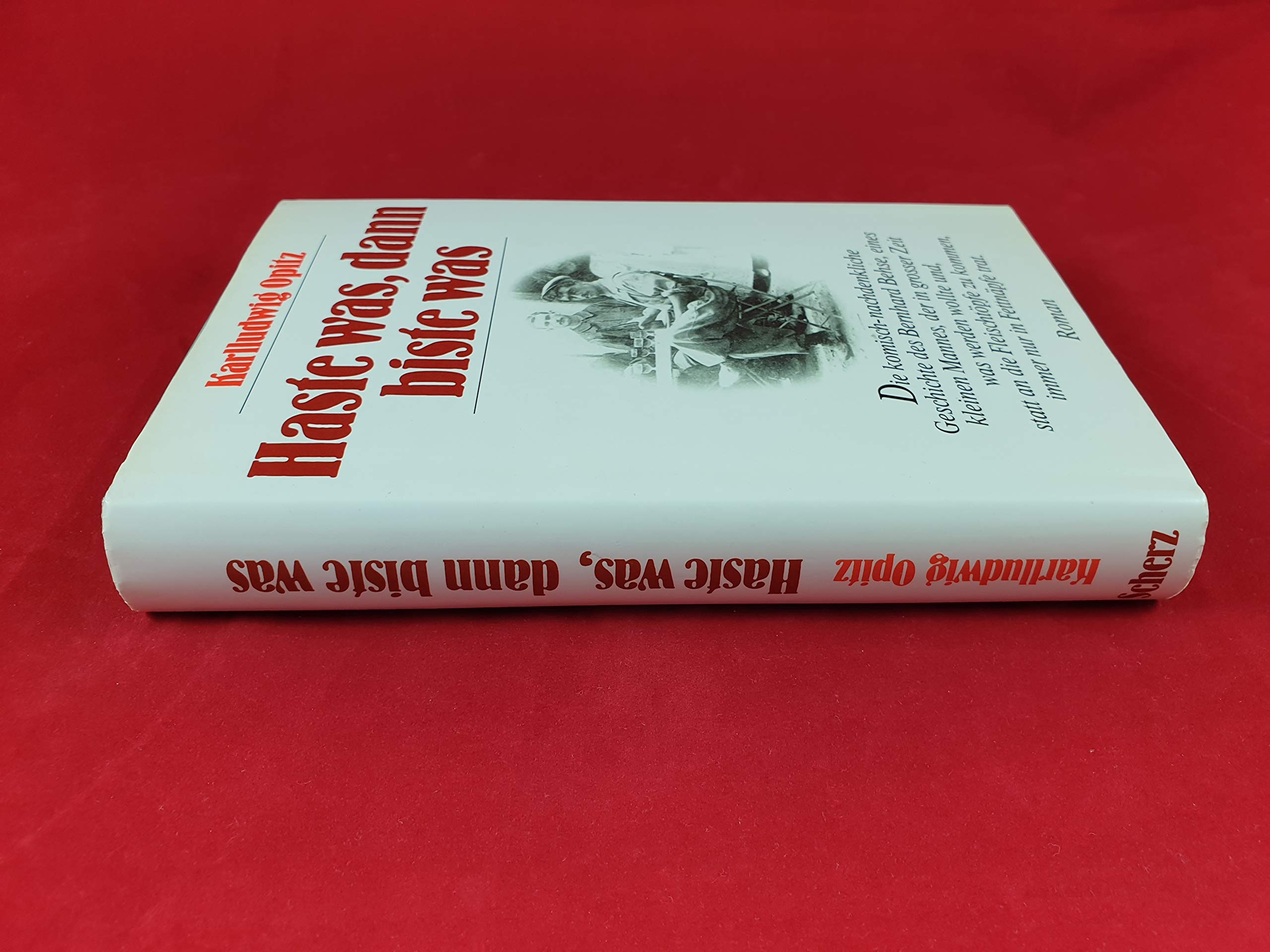 Haste was, dann biste was Contemporary literature Books