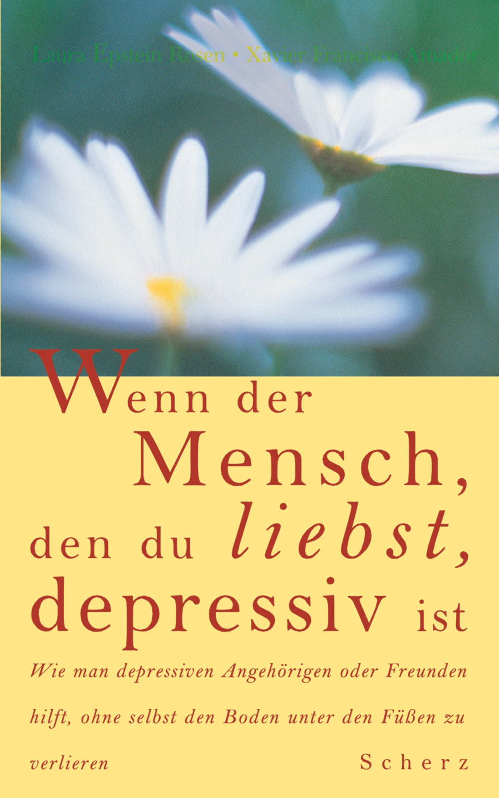 Wenn der Mensch, den du liebst, depressiv ist Fiction