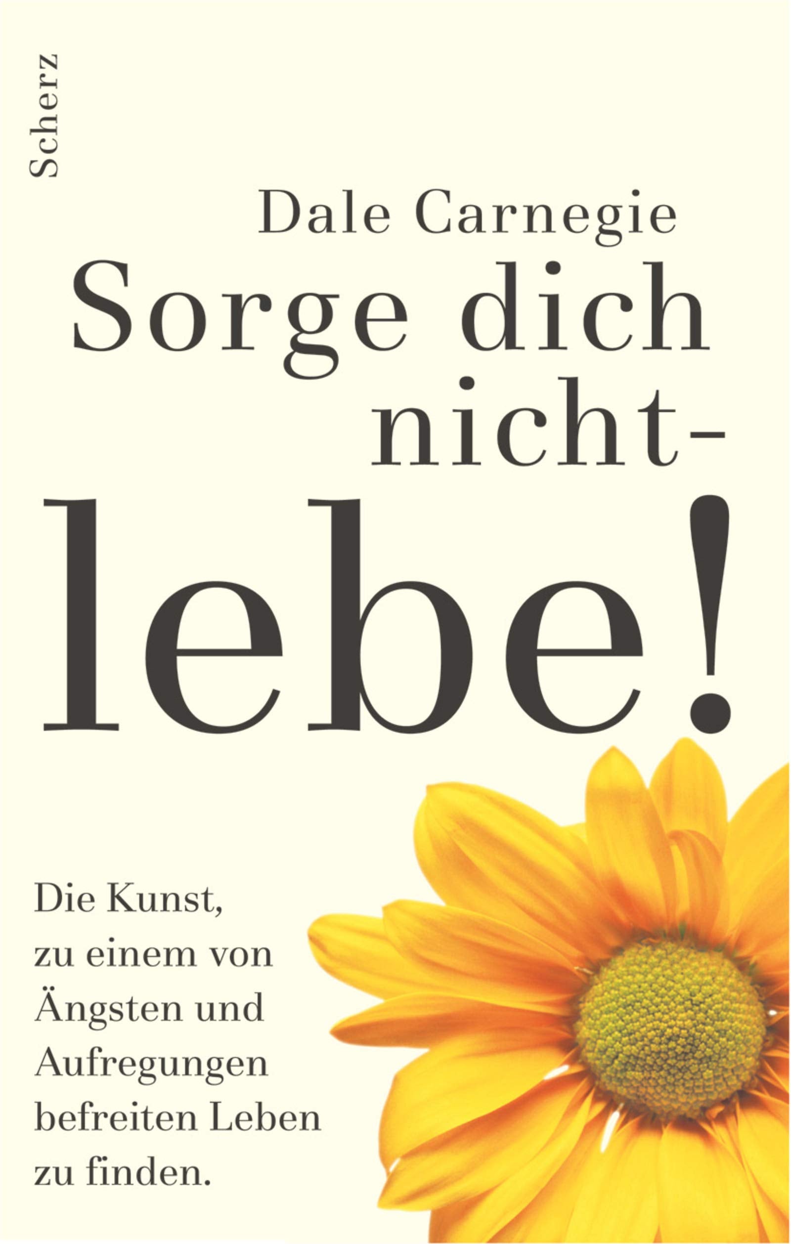 Sorge dich nicht. Lebe!: Die Kunst zu einem von Ängsten und Aufregungen befreiten Leben zu finden Health, Nutrition & Fitness
